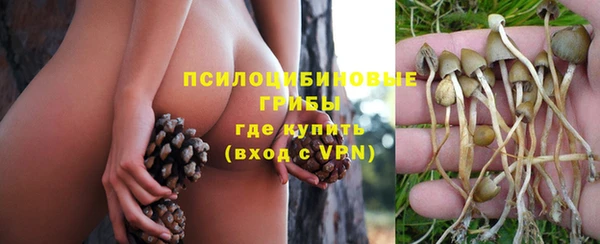 a pvp Нягань