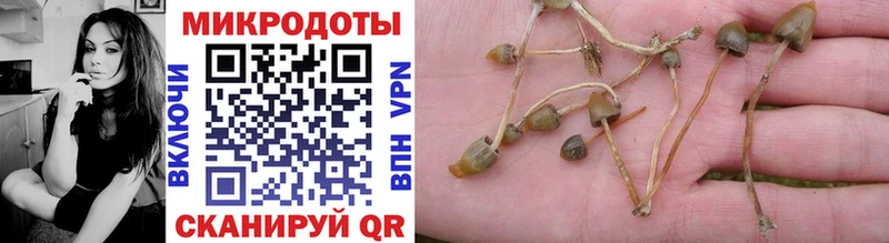 Галлюциногенные грибы Cubensis  kraken зеркало  Менделеевск 